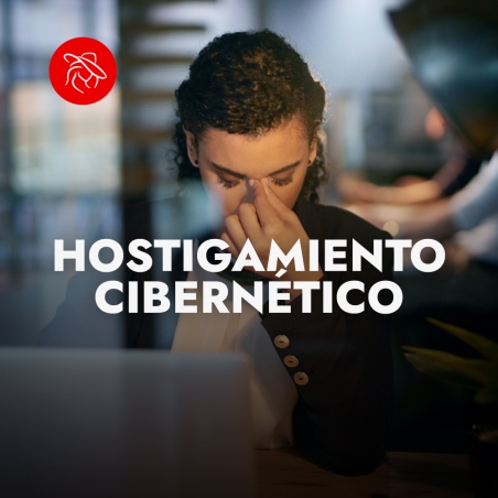 HOSTIGAMIENTO CIBERNÉTICO